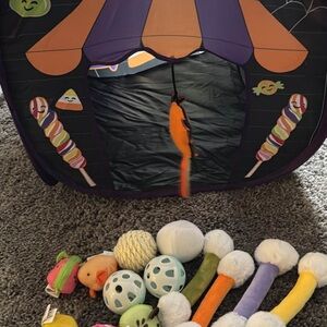 Cat toys and tent